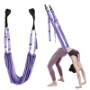 Adjustable Aerial Yoga Strap; Elastic Stretch Door Hanging Yoga Belts Hammock Swing Fitness Handstand Rope Training Device