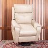 Lehboson Lift Chair Recliners, Electric Power Recliner Chair Sofa, massage and heating (Beige)
